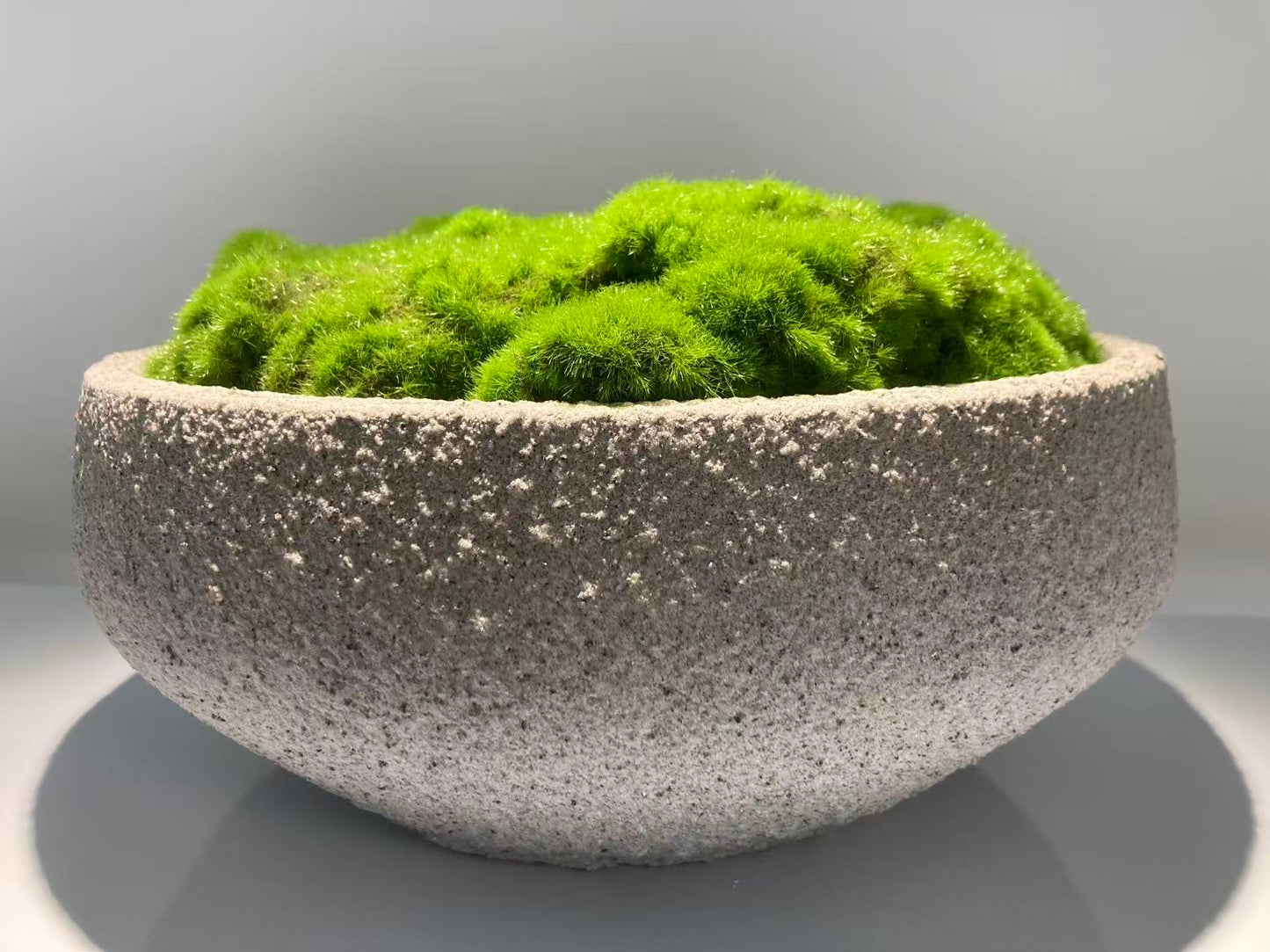 home decoration pot moss