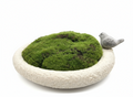 Moss Pot Decoration – Desktop Nature Accent (Style 1)
