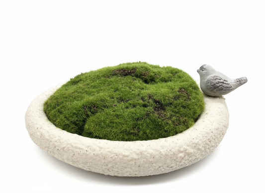 moss pot decoration