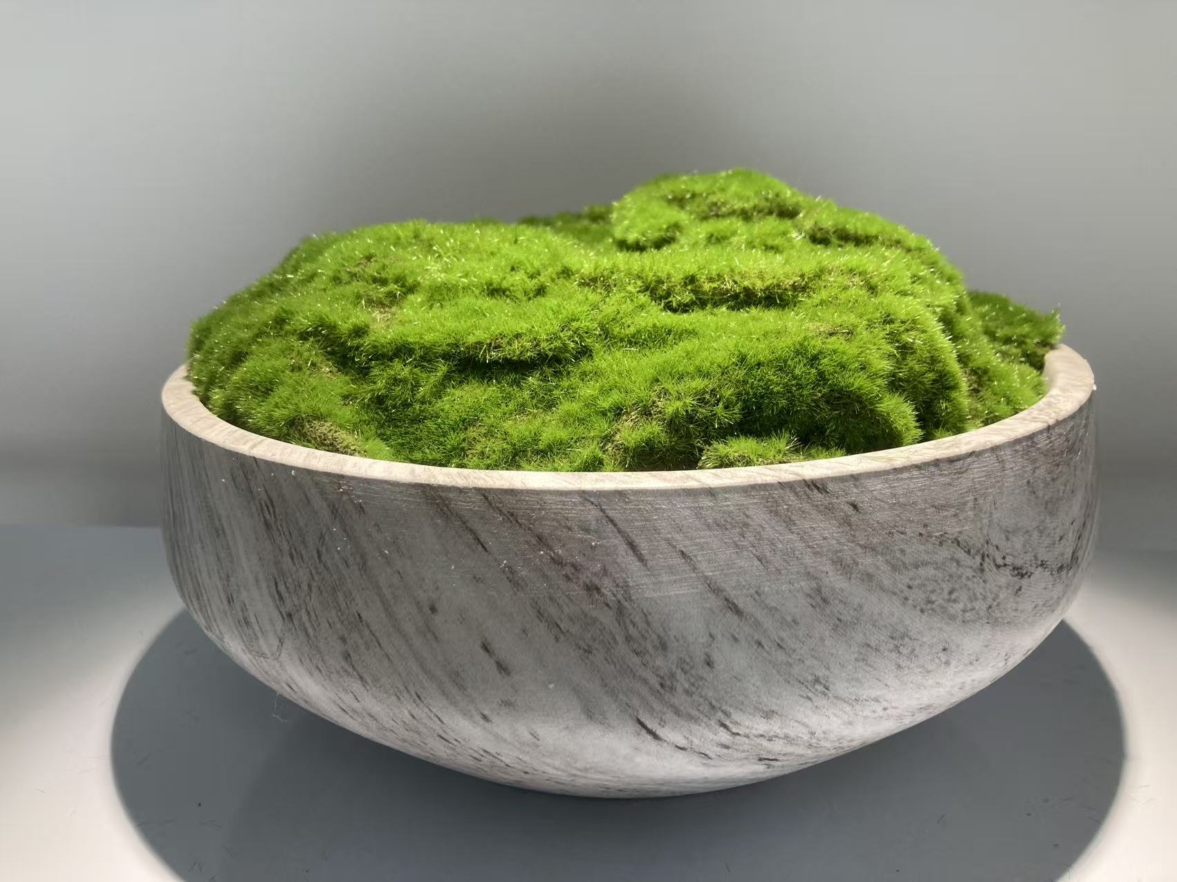 Concrete Moss Pot – Modern Desktop Decoration (Style 7)