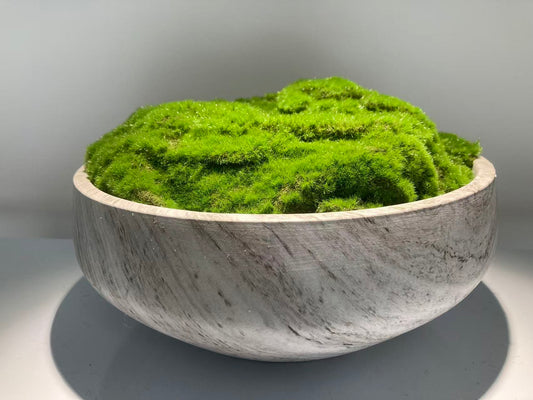 home decor pot moss
