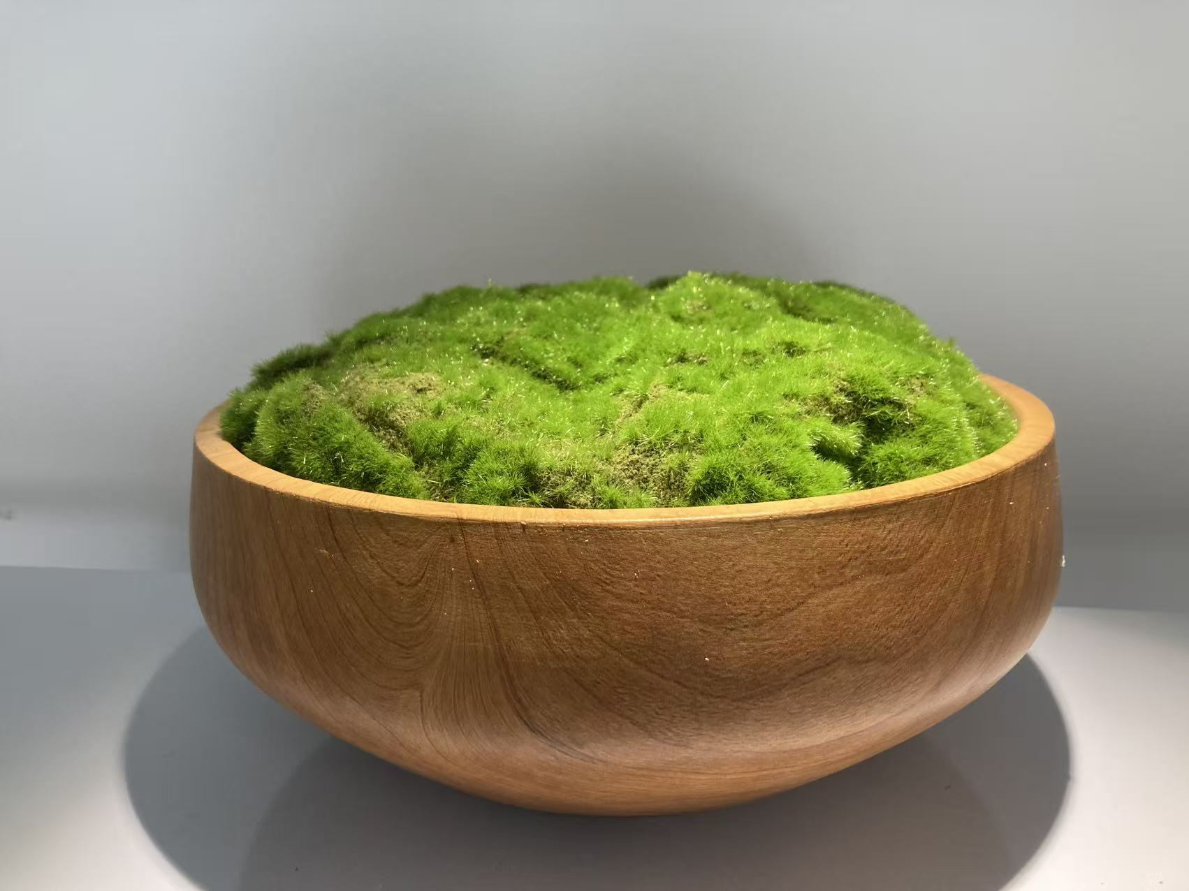 Concrete Moss Pot – Modern Desktop Decoration (Style 6)
