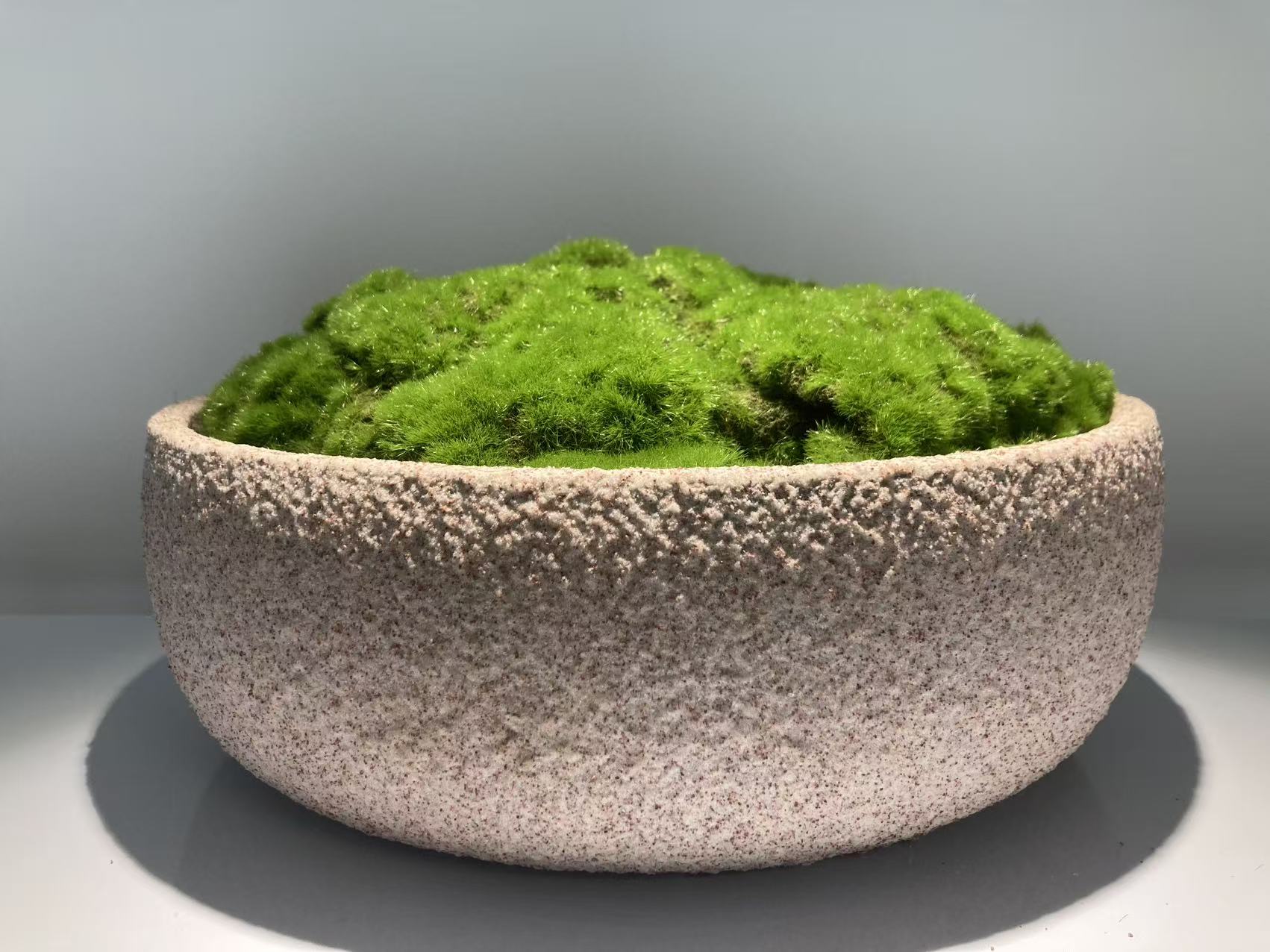 Concrete Moss Pot – Modern Desktop Decoration (Style 5)