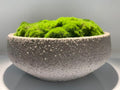 Concrete Moss Pot – Modern Desktop Decoration (Style 4)