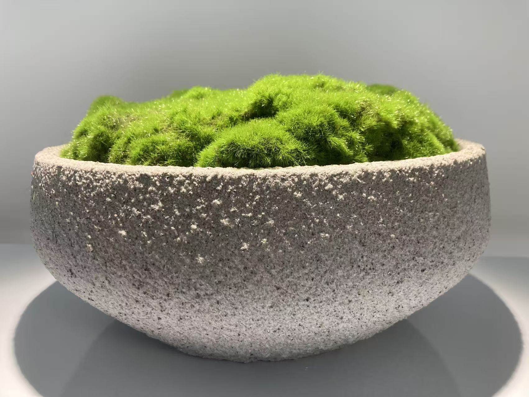Concrete Moss Pot – Modern Desktop Decoration (Style 4)