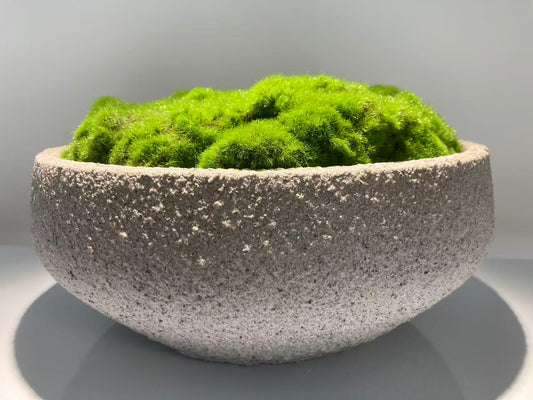 home decoration pot moss