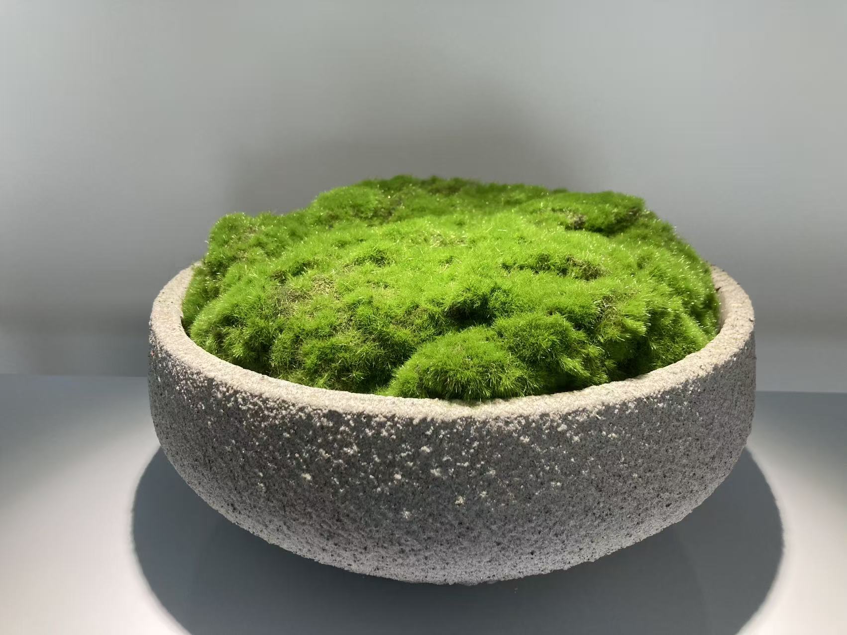 Concrete Moss Pot – Modern Desktop Decoration (Style 3)