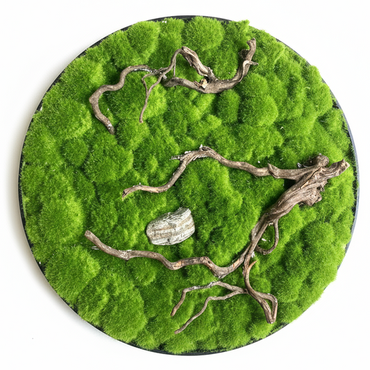 moss wall decoration