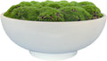Moss Pot Decoration – Desktop Nature Accent (Style 2)