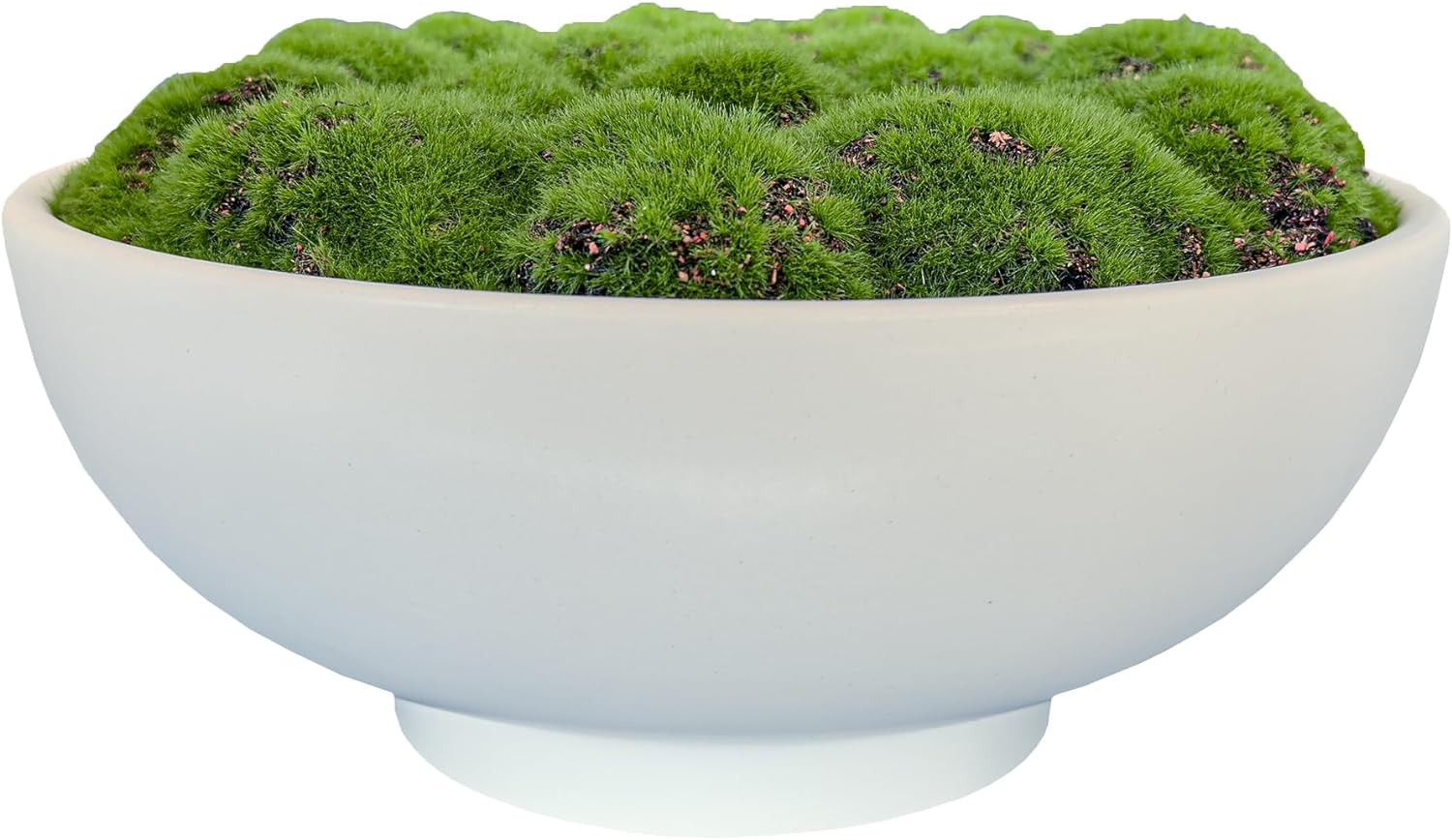 Moss Pot Decoration – Desktop Nature Accent (Style 2)