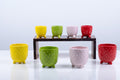 Ceramic Flower Pot – Elegant Home & Garden Planter