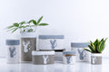 Ceramic Flower Pot – Elegant Home & Garden Planter