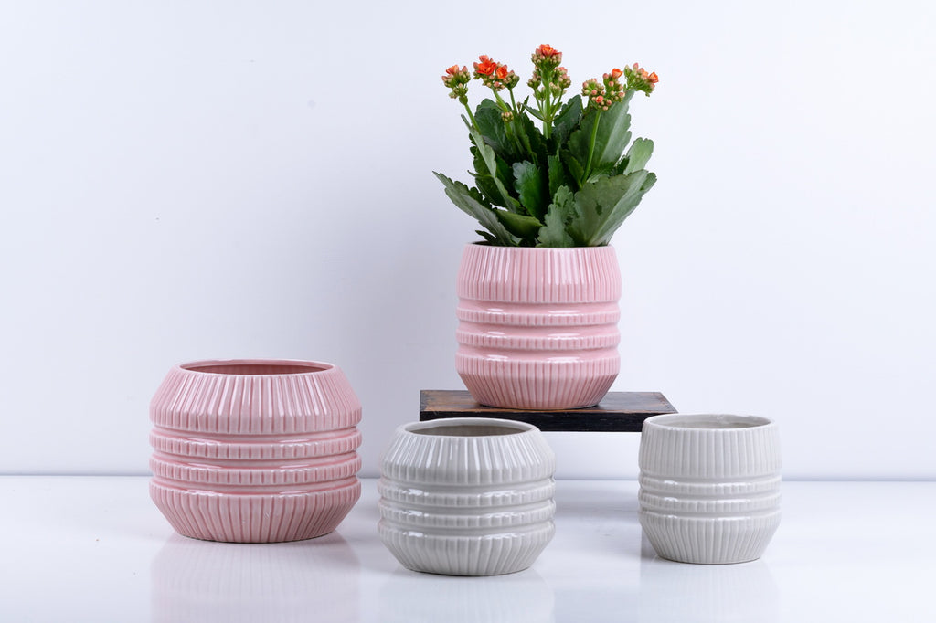 Ceramic Flower Pot – Elegant Home & Garden Planter