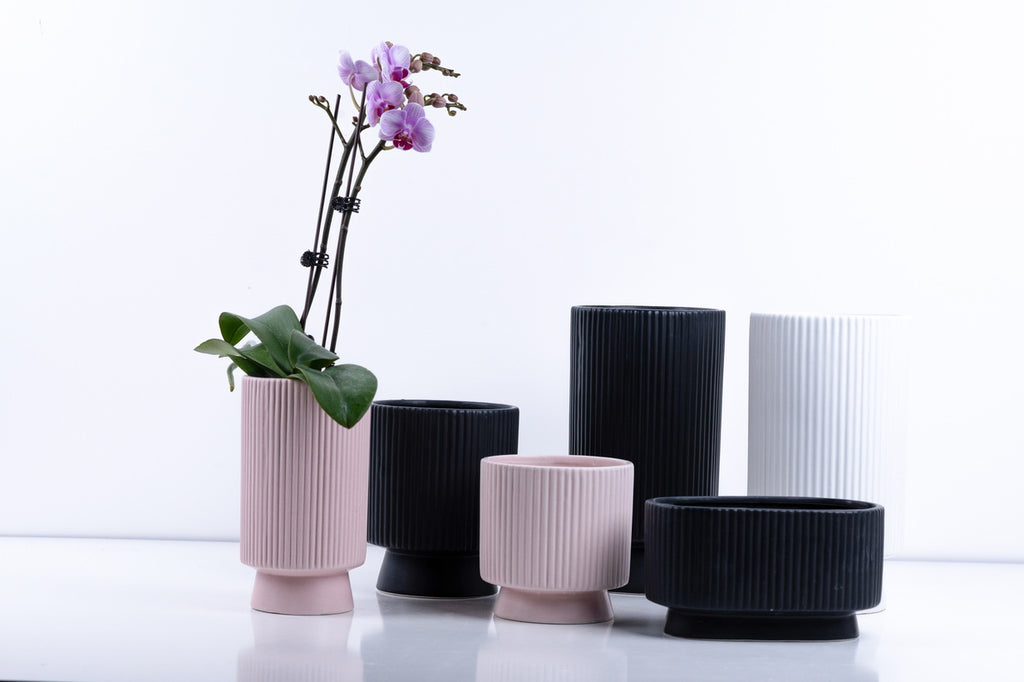 Ceramic Flower Pot – Elegant Home & Garden Planter