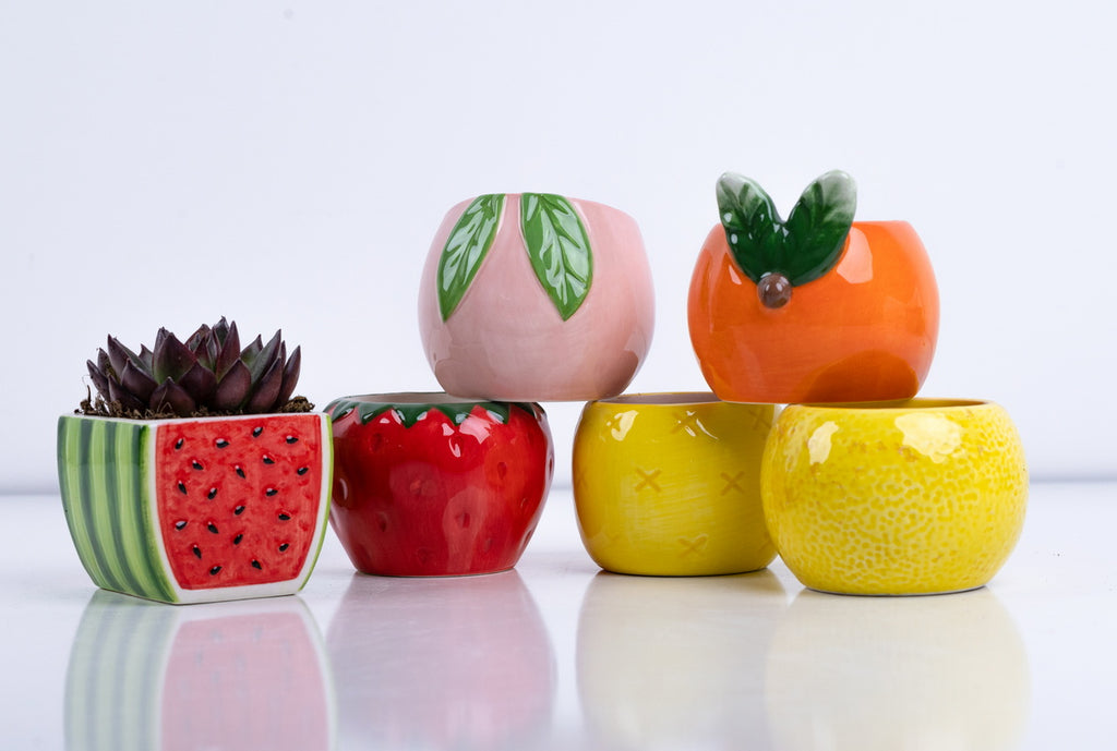 Ceramic Flower Pot – Elegant Home & Garden Planter