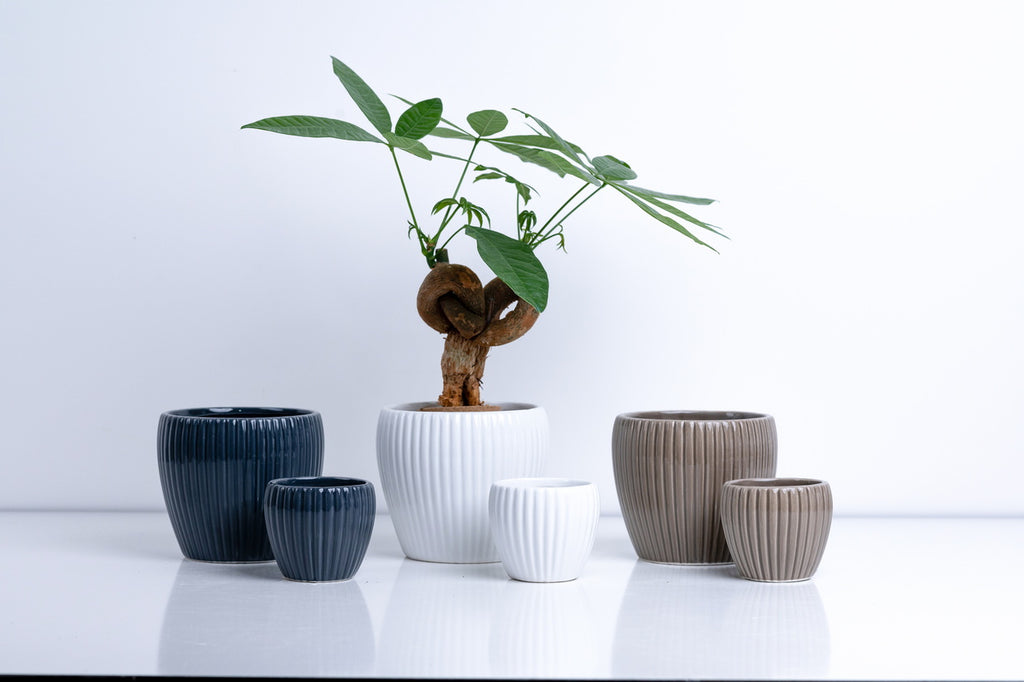Ceramic Flower Pot – Elegant Home & Garden Planter