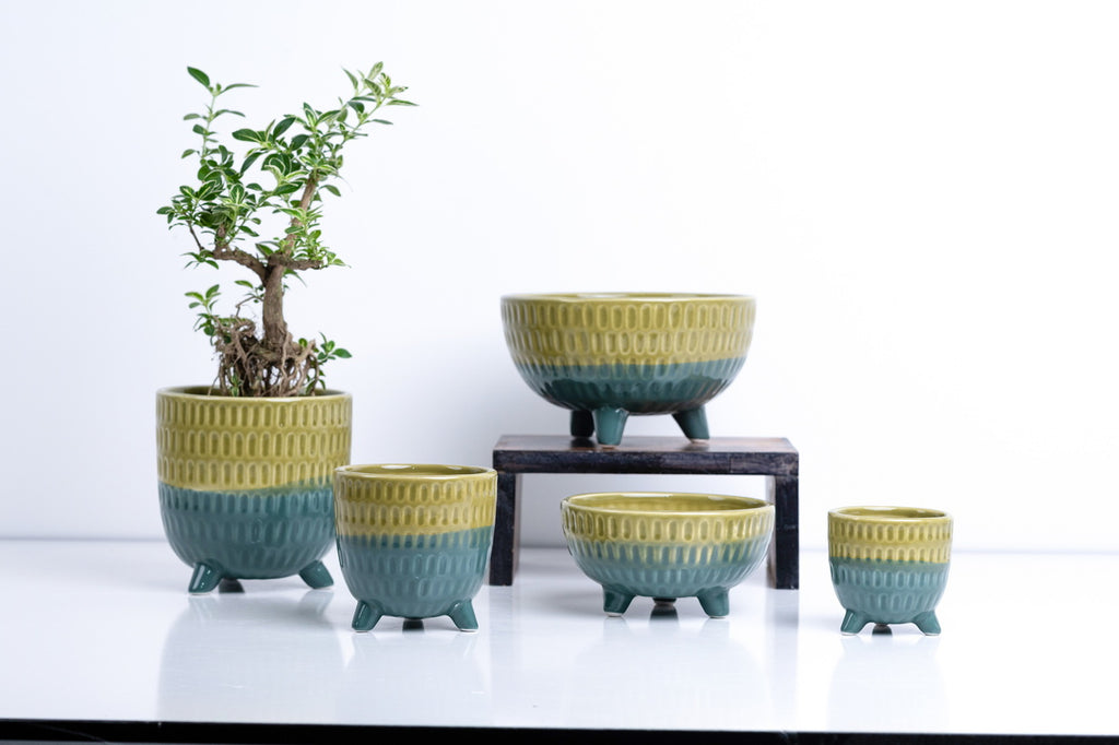 Ceramic Flower Pot – Elegant Home & Garden Planter