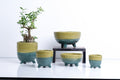 Ceramic Flower Pot – Elegant Home & Garden Planter