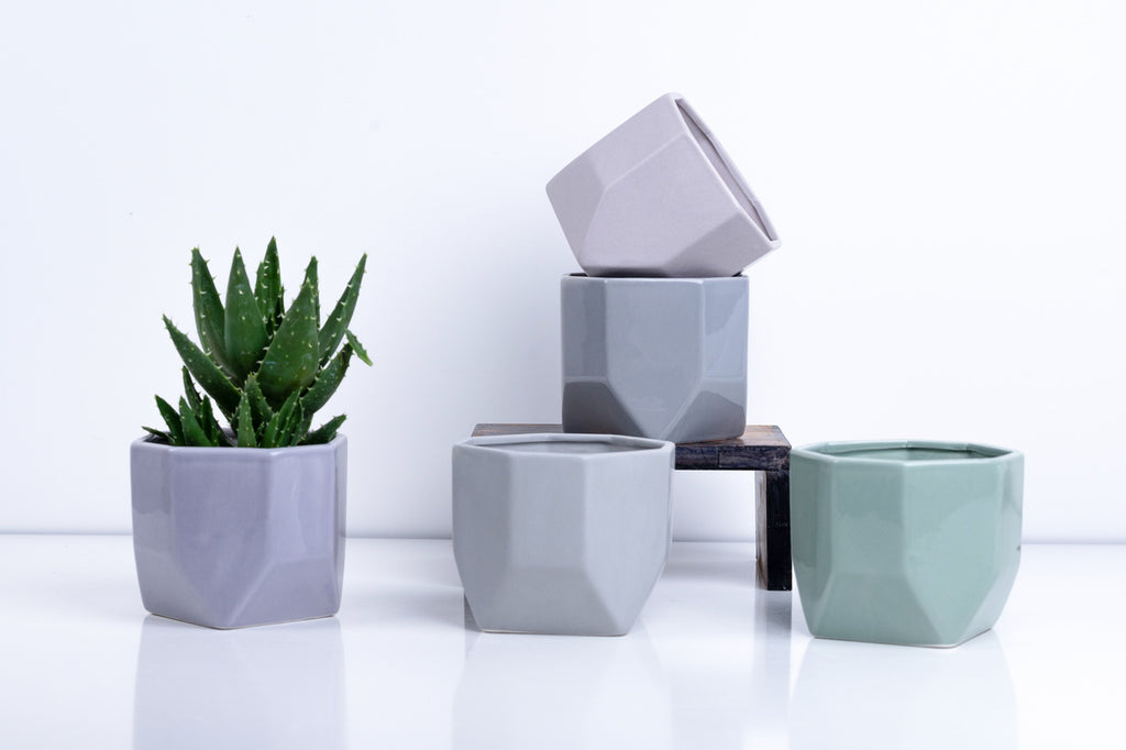 Ceramic Flower Pot – Elegant Home & Garden Planter