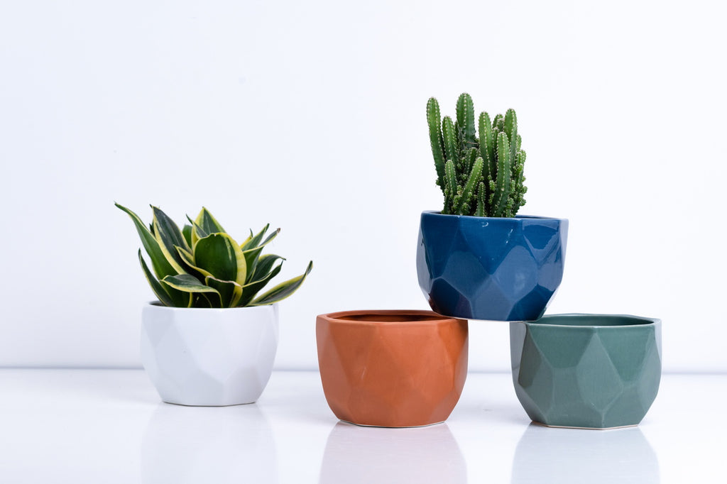 Ceramic Flower Pot – Elegant Home & Garden Planter