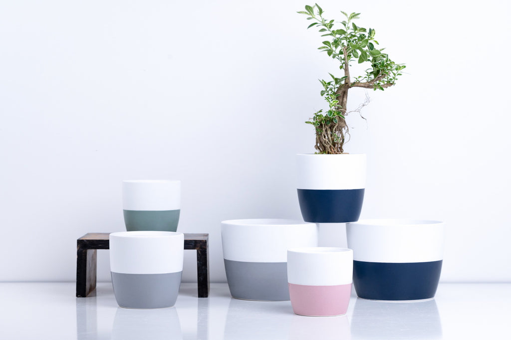 Ceramic Flower Pot – Elegant Home & Garden Planter