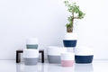 Ceramic Flower Pot – Elegant Home & Garden Planter
