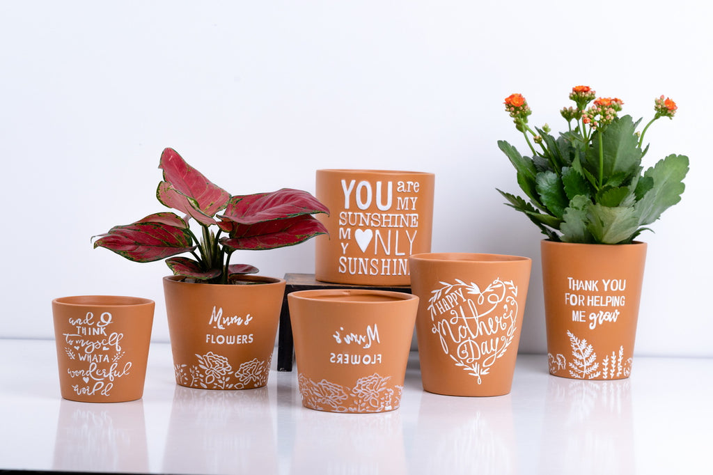 Ceramic Flower Pot – Elegant Home & Garden Planter