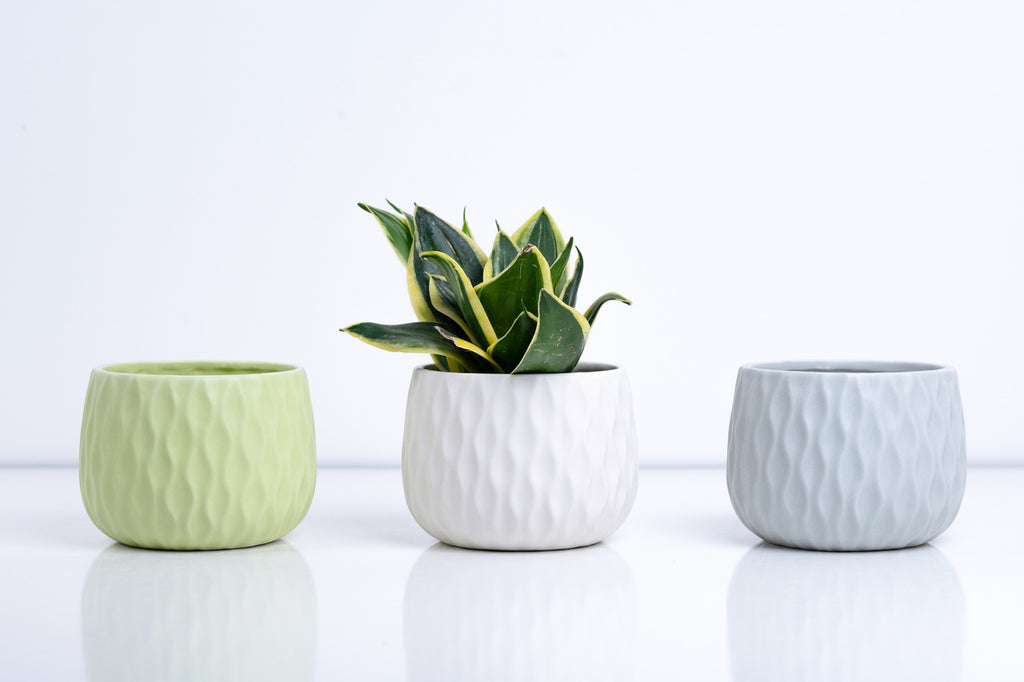 Ceramic Flower Pot – Elegant Home & Garden Planter