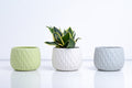 Ceramic Flower Pot – Elegant Home & Garden Planter