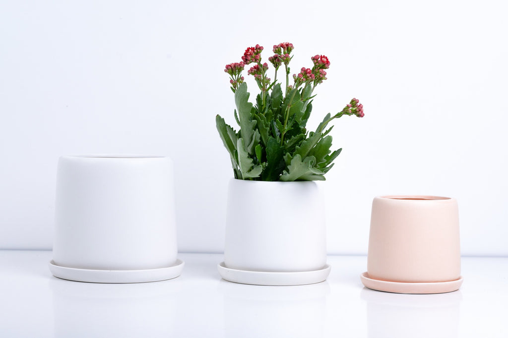 Ceramic Flower Pot – Elegant Home & Garden Planter