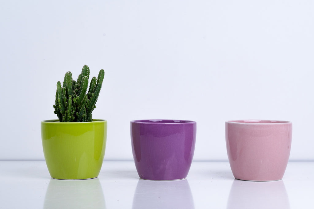Ceramic Flower Pot – Elegant Home & Garden Planter