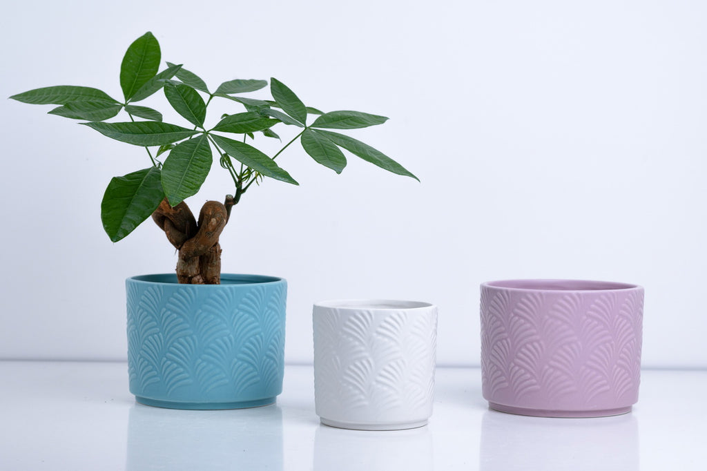 Ceramic Flower Pot – Elegant Home & Garden Planter