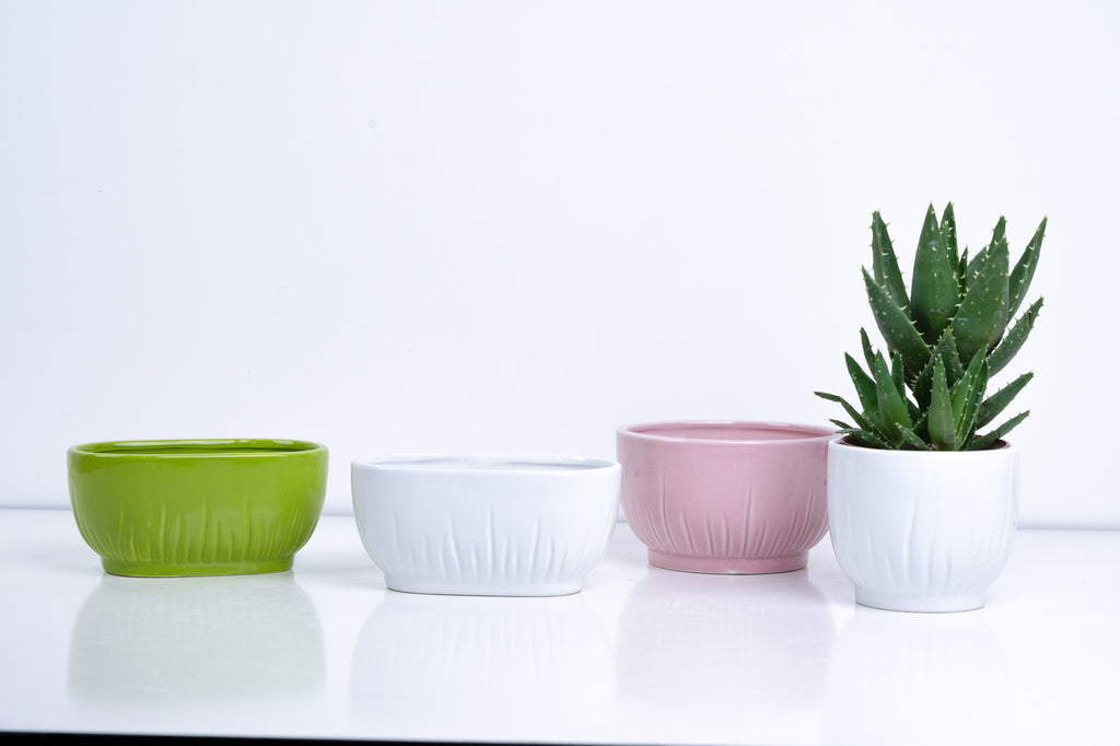 Ceramic Flower Pot – Elegant Home & Garden Planter