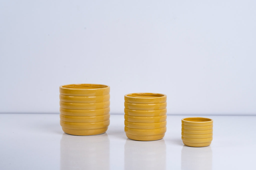 Ceramic Flower Pot – Elegant Home & Garden Planter