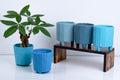 Ceramic Flower Pot – Elegant Home & Garden Planter