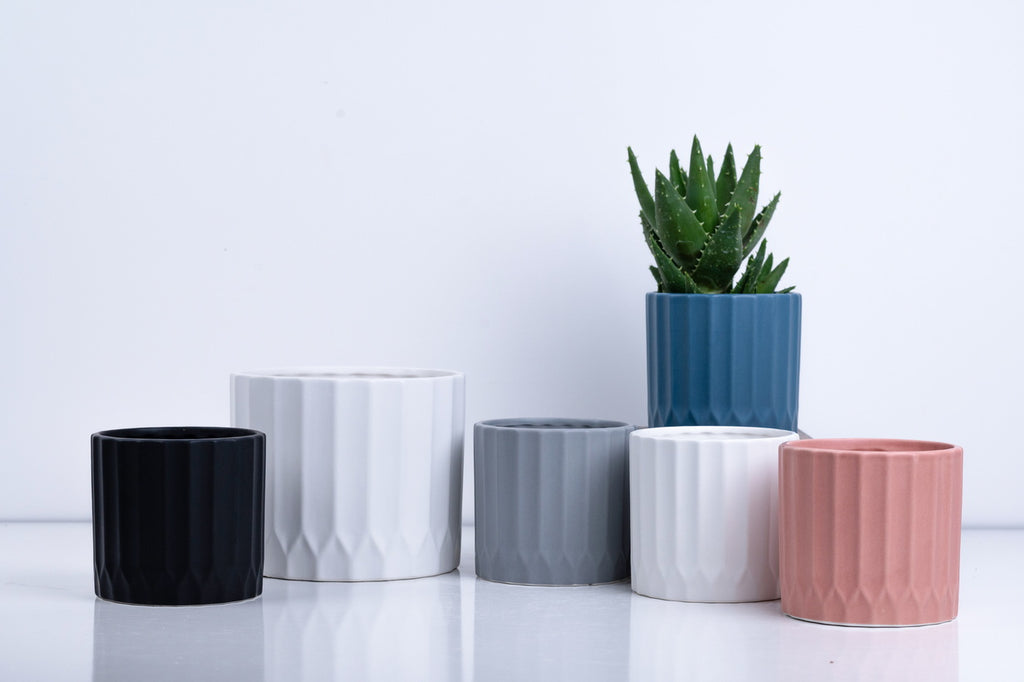 Ceramic Flower Pot – Elegant Home & Garden Planter