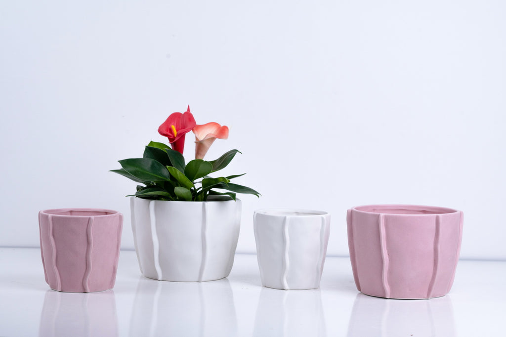 Ceramic Flower Pot – Elegant Home & Garden Planter