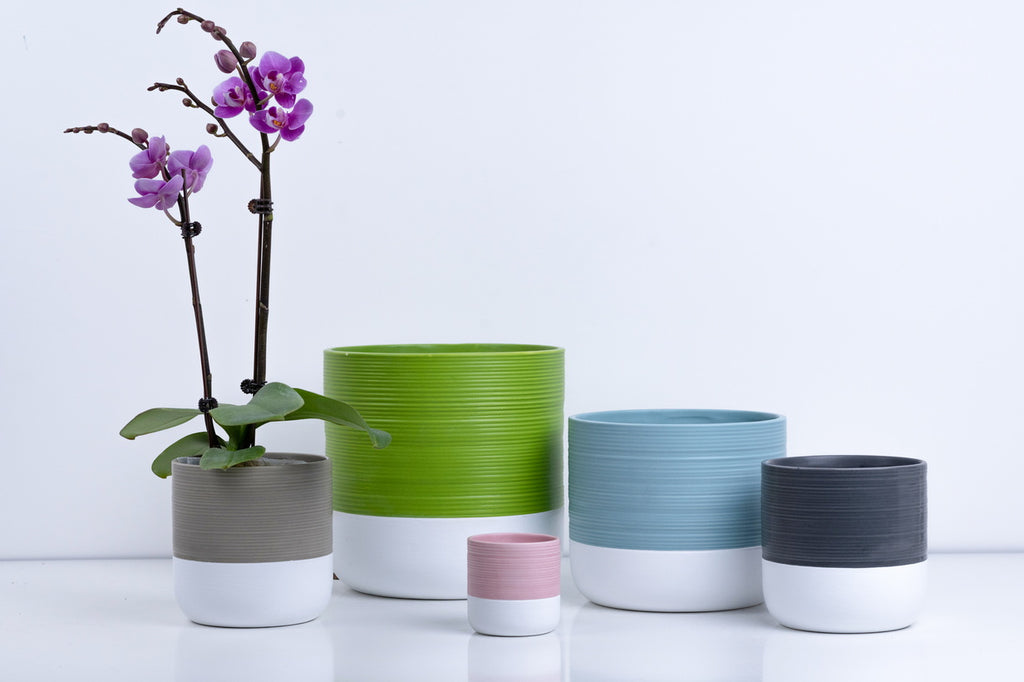 Ceramic Flower Pot – Elegant Home & Garden Planter