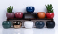 Ceramic Flower Pot – Elegant Home & Garden Planter
