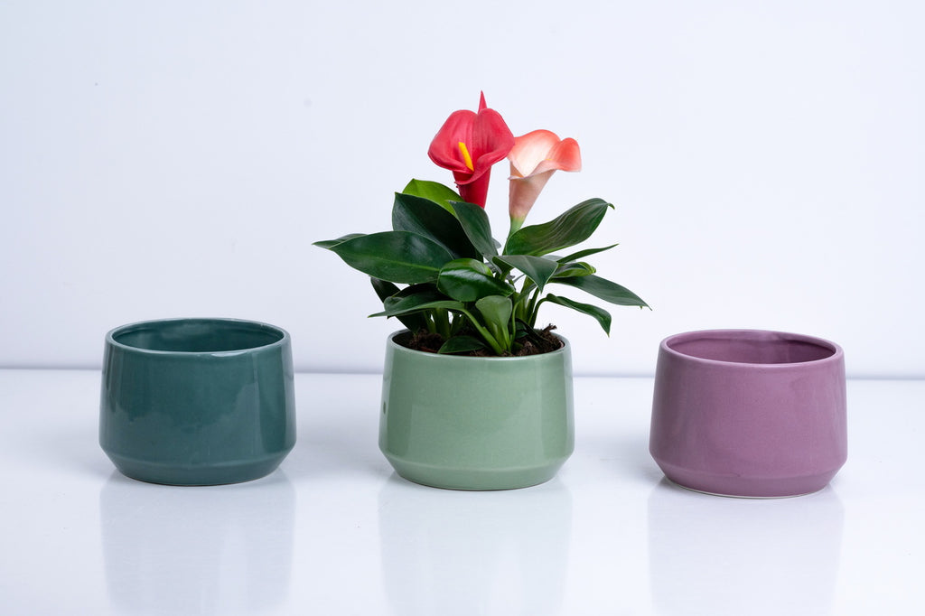 Ceramic Flower Pot – Elegant Home & Garden Planter