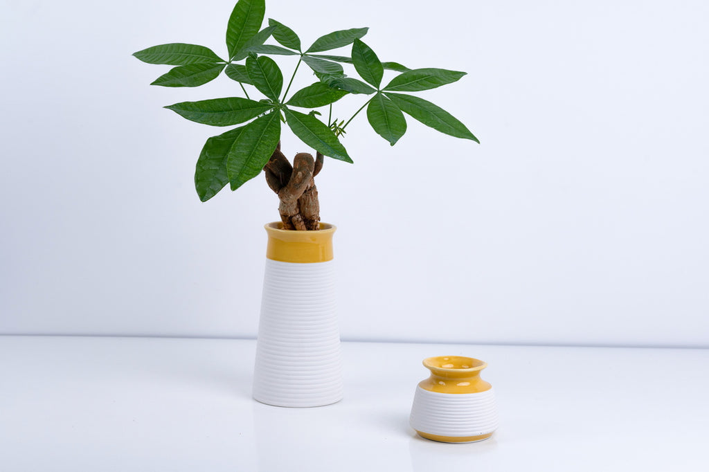 Ceramic Flower Pot – Elegant Home & Garden Planter