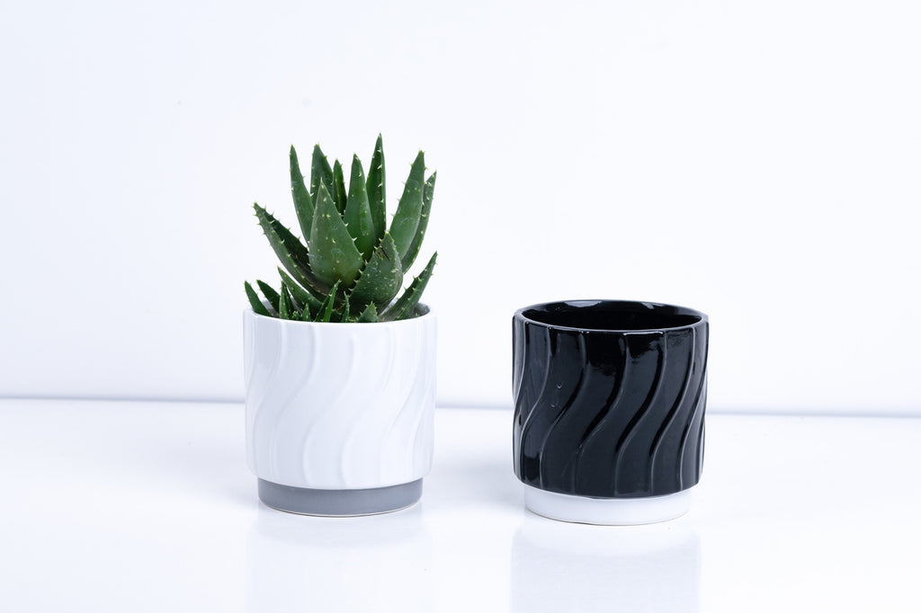 Ceramic Flower Pot – Elegant Home & Garden Planter
