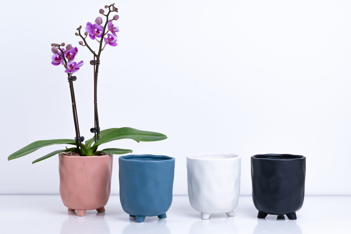 Ceramic Flower Pot – Elegant Home & Garden Planter