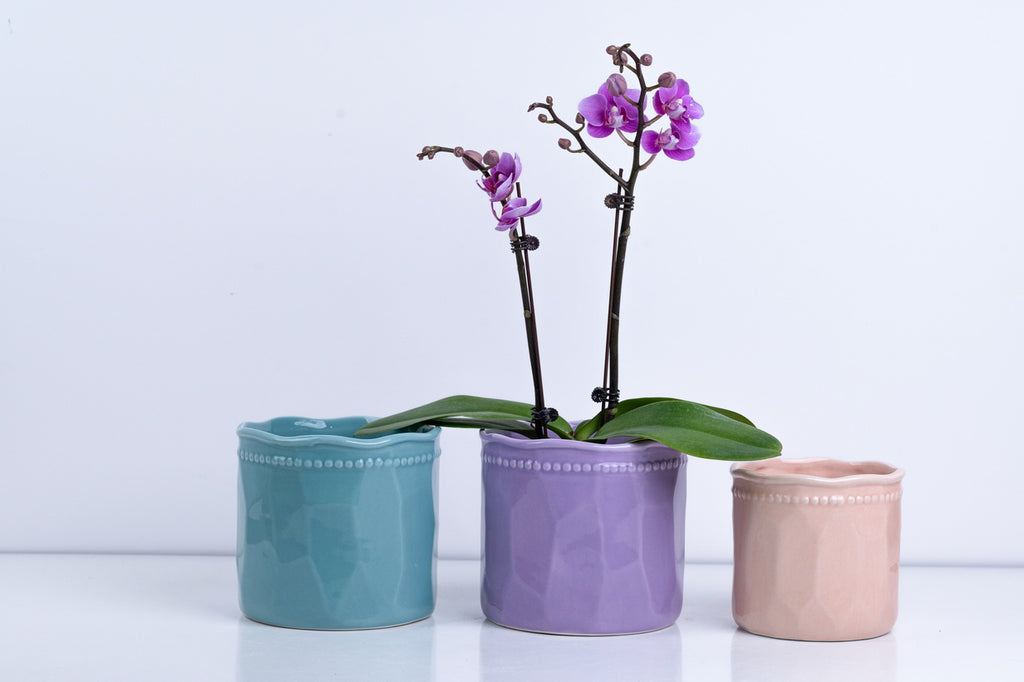 Ceramic Flower Pot – Elegant Home & Garden Planter