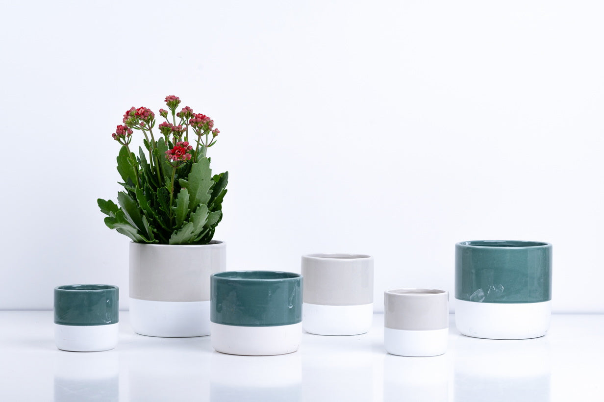 Ceramic Flower Pot – Elegant Home & Garden Planter