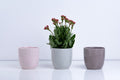 Ceramic Flower Pot – Elegant Home & Garden Planter