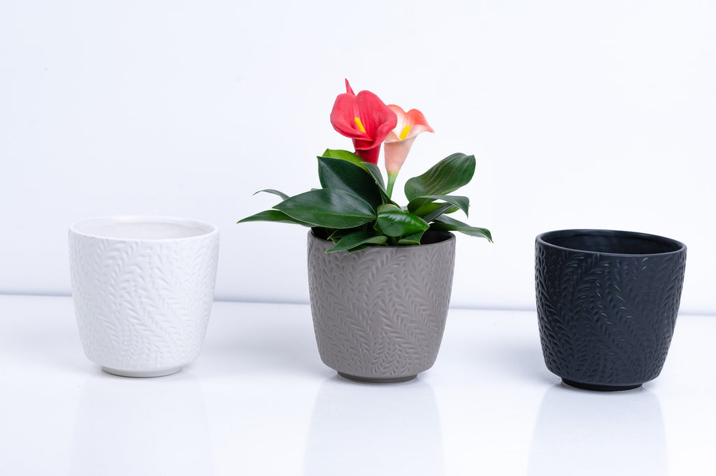 Ceramic Flower Pot – Elegant Home & Garden Planter