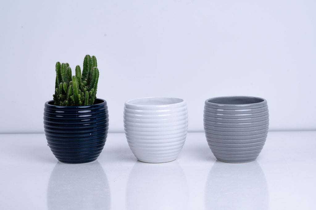 Ceramic Flower Pot – Elegant Home & Garden Planter