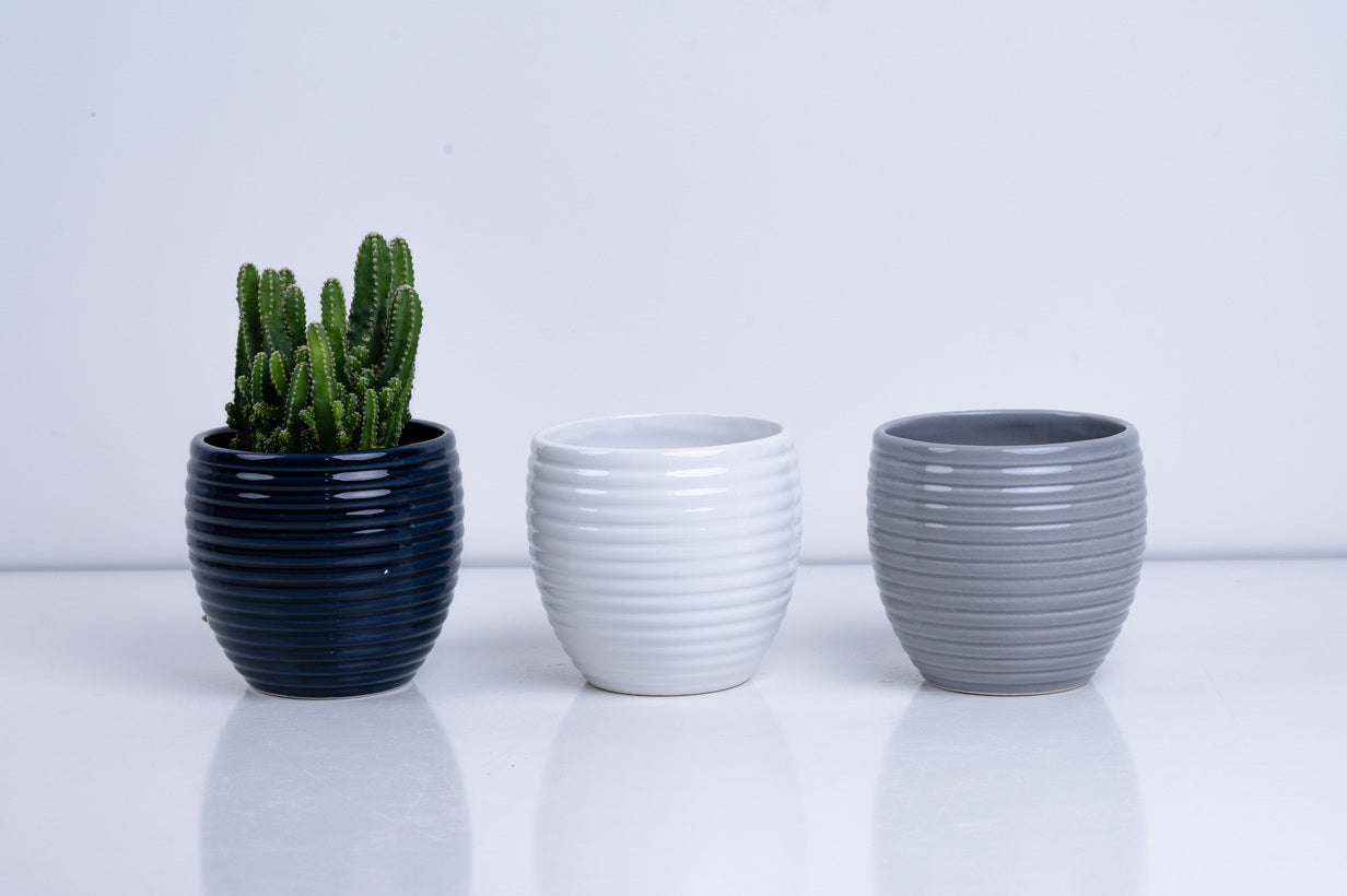 Ceramic Flower Pot – Elegant Home & Garden Planter
