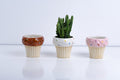 Ceramic Flower Pot – Elegant Home & Garden Planter